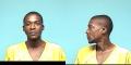 Mugshot of DARRIAN L TERRY