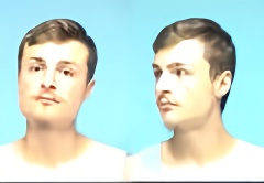 Mugshot of DOMINIC D SMITH