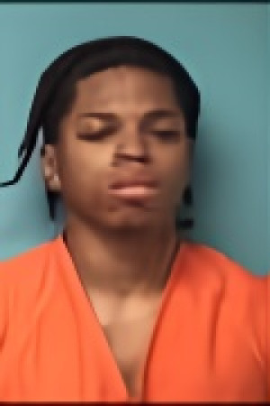 Mugshot of BRYCE A WHITE