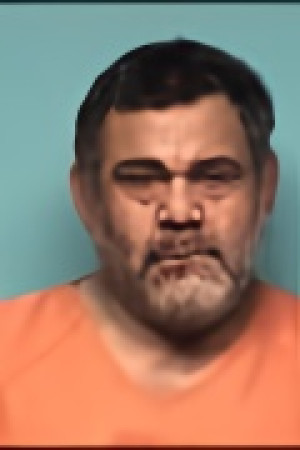 Mugshot of MITCHEL DAVID TORRES-PEREZ