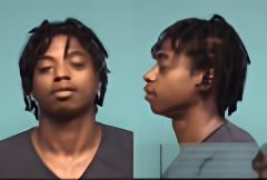 Mugshot of MICHAEL L WILLIAMS