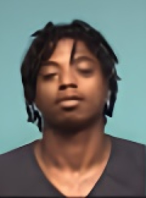 Mugshot of MICHAEL L WILLIAMS