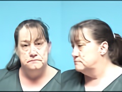 Mugshot of MICHELLE L JOHNSON