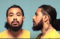 Mugshot of GIOVANNI LEE