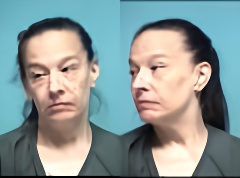 Mugshot of MICHELLE ELLEN KITCHEN