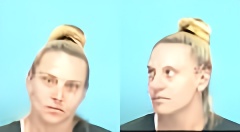 Mugshot of AMY S WOOD