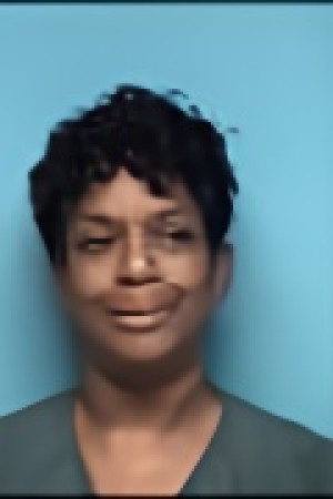 Mugshot of PAMELA R NELSON