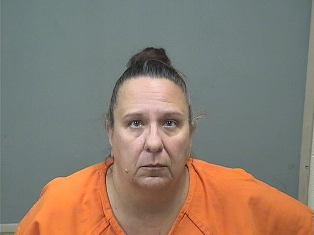 Mugshot of LISA STEPHENS