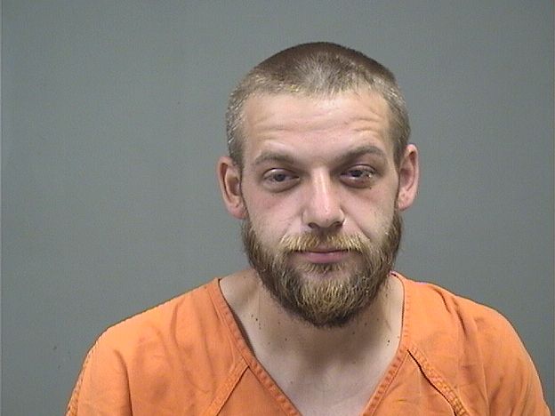Mugshot of MICHAEL HOLBY