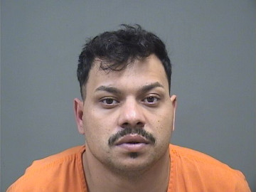 Mugshot of BOBI MIHALAICHE