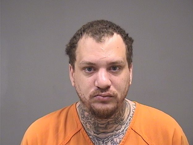 Mugshot of RYAN MEADOWS