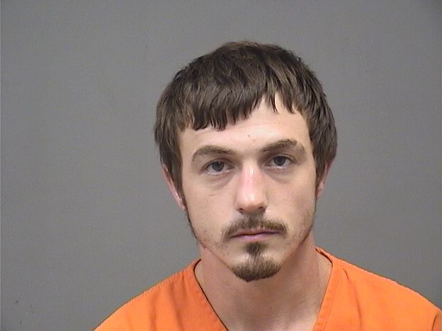 Mugshot of LEVI RAY