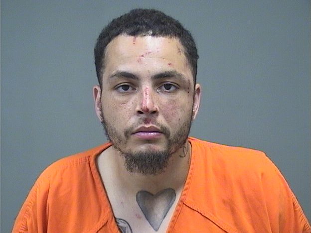 Mugshot of DION TAYLOR