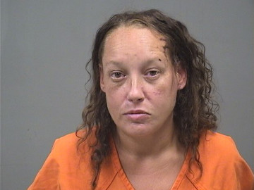 Mugshot of TAMMY VANFOSSAN