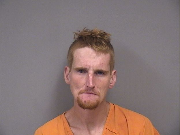 Mugshot of RAYMOND DANZEY
