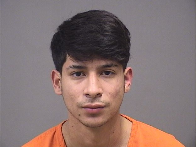 Mugshot of LUIS RIVAS-ALVAREZ