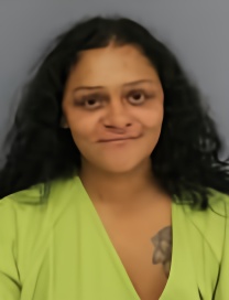 Mugshot of REANNA ANDREA LISI