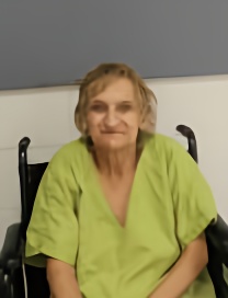 Mugshot of VESNA VENESSA DONOVAN