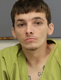 Mugshot of MICHAEL ALLEN JR DELP