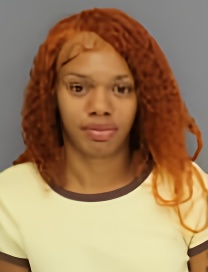 Mugshot of LADY'TYREE CHAVON RANISE PORTER