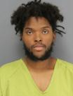 Mugshot of ARLANDER JR ABLES
