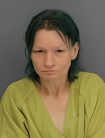 Mugshot of RHONDA SUE RAUSCHER