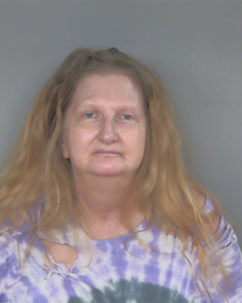 Mugshot of LESLIE LYNN FREDERICK