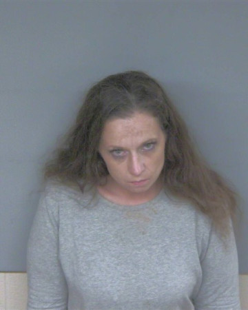 Mugshot of KATHERINE LEE COLLINS
