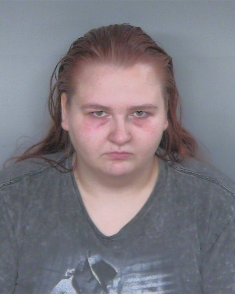Mugshot of DESTINY MARIE ANDERSON