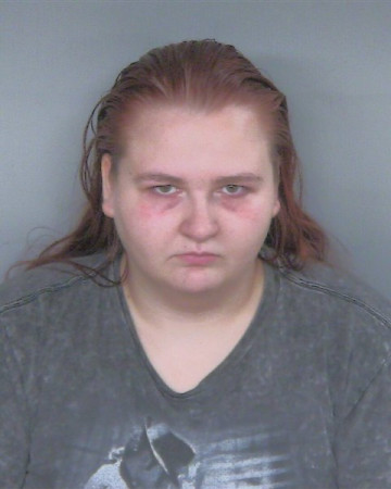 Mugshot of DESTINY MARIE ANDERSON