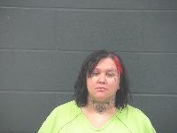 Mugshot of Ashley Nicole Riley