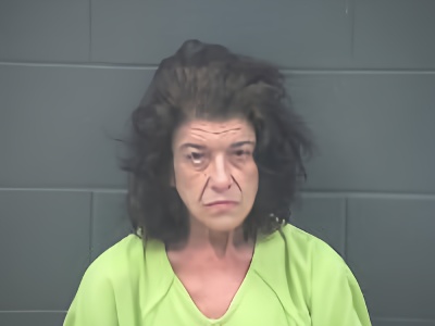Mugshot of Leslie Kay Price