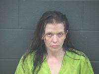 Mugshot of Kaleigh Michelle Dillen