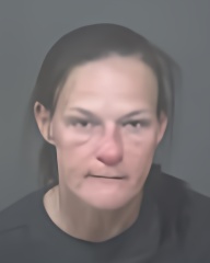 Mugshot of JESSICA DAWN VANNATTER