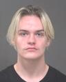 Mugshot of D'MITRI MICHAEL ANDREWS