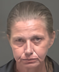 Mugshot of TRACEY LYNN DREYFUS