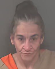 Mugshot of DIANE LORRAINE FAYZ