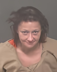 Mugshot of MISTY ANN POTTS