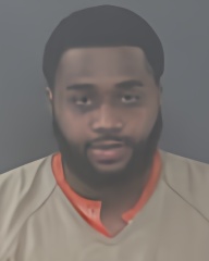 Mugshot of GLEEM MICHAEL LEWIN