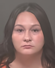 Mugshot of MEGAN ANN WILSON