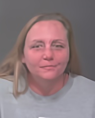 Mugshot of COURTNEY ANN VENSIL