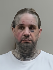 Mugshot of JOSHUA LEE NEWSOME