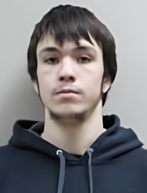 Mugshot of DONAVIN AVERY LANDS