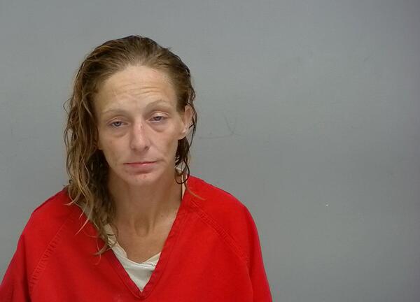 Mugshot of TONI S KISER