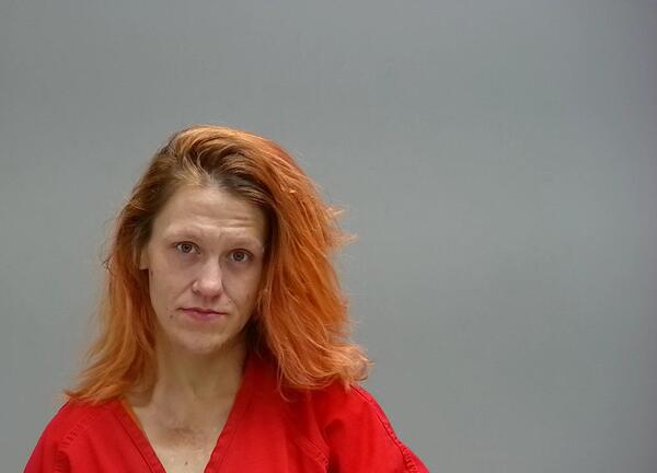 Mugshot of JESSICA DEANN HADDIX