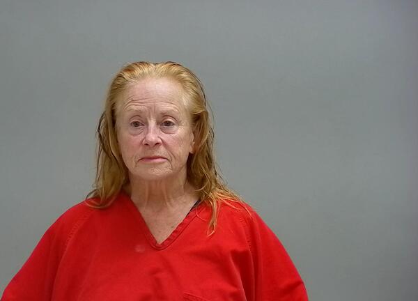 Mugshot of JILL GABRIELLE JOHNSON