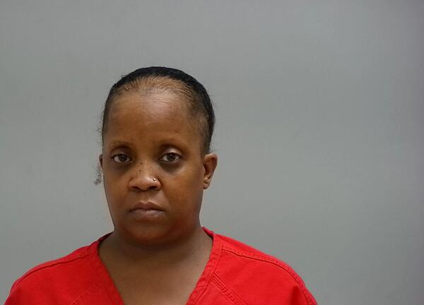 Mugshot of YOLANDA L ROBINSON