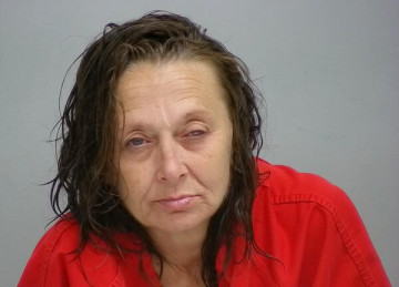 Mugshot of MICHELLE LYNN GAINES