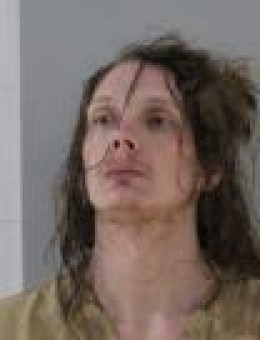 Mugshot of DAVID J PARKS