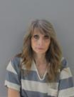 Mugshot of TAMMY R DIXON